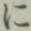 字に