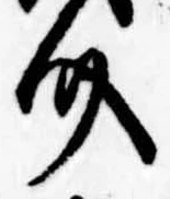已定位介