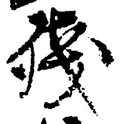 已定位残