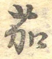 位置定マレル茄