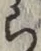 글자 ら