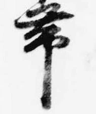 已定位帯
