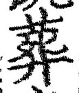 글자 葬