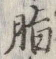 Đã định vị 脂