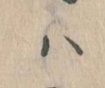 已定位𛂞