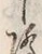 Character 降