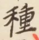 글자 種