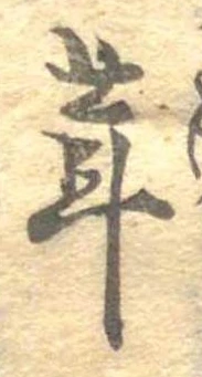 茸 위치 확인됨