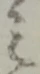 位置 確認된 之