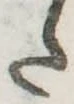 𛁠 위치 확인됨