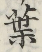 글자 葉