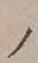 “ノ”字