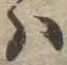 𛂞 위치 확인됨