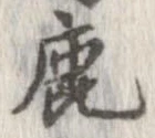 鹿 위치 확인됨