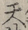 Đã định vị 天