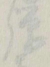 Đã định vị 騨