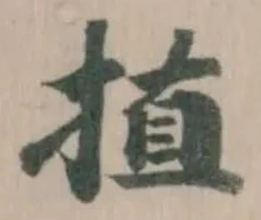 㨁の位置