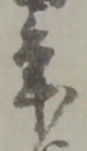 年 위치 확인됨