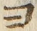 𡨸ヨ