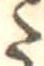 Đã định vị 𛁠