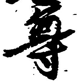 尊 위치 확인됨