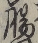 文字腸
