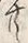 Chữ 共