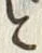 「と」字