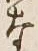 Chữ な