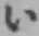 Chữ い