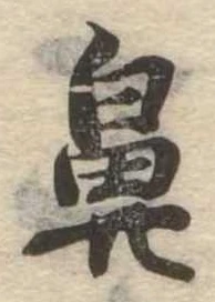 鼻 위치 확인됨