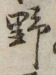 已定位野