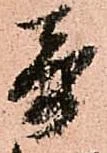 已定位奇