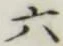 글자 六