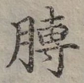 膊 위치 확인됨