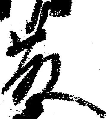 藤の位置