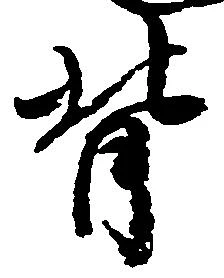 背 위치 확인됨
