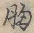 胸 위치 확인됨