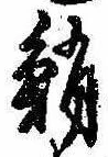 鮹の位置