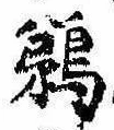 Đã định vị 鵜