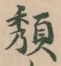 頺 위치 확인됨