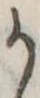 位置定マレル𛀚