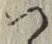 글자 つ