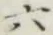 글자 六