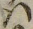 Đã định vị 𛂞