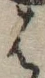 位置定マレル𛂦