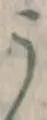 글자 う