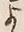 文字 よ
