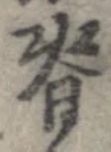 背 위치 확인됨