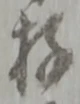 Đã định vị 存